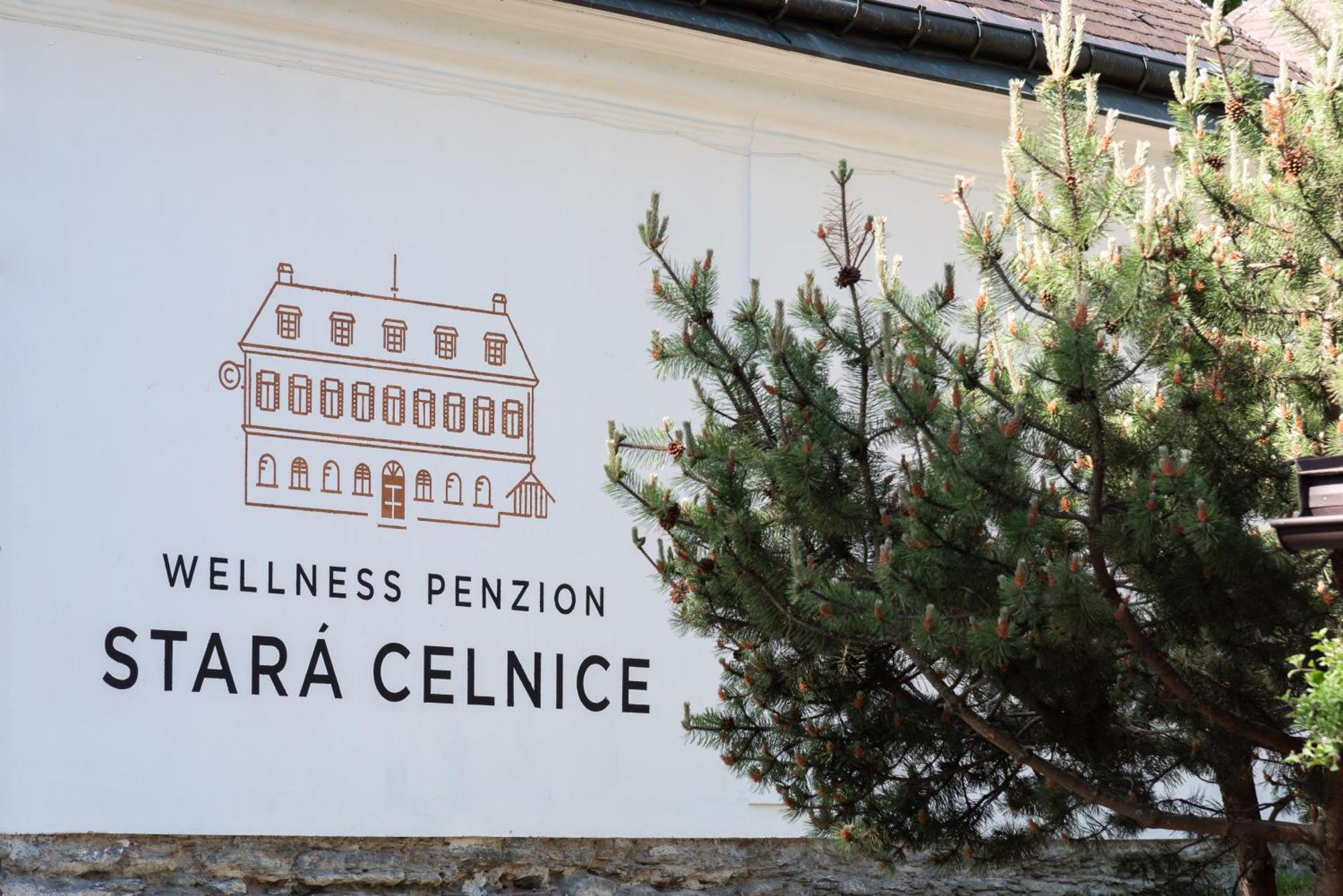 Penzion Stara Celnice 派克波特斯耐兹库 外观 照片